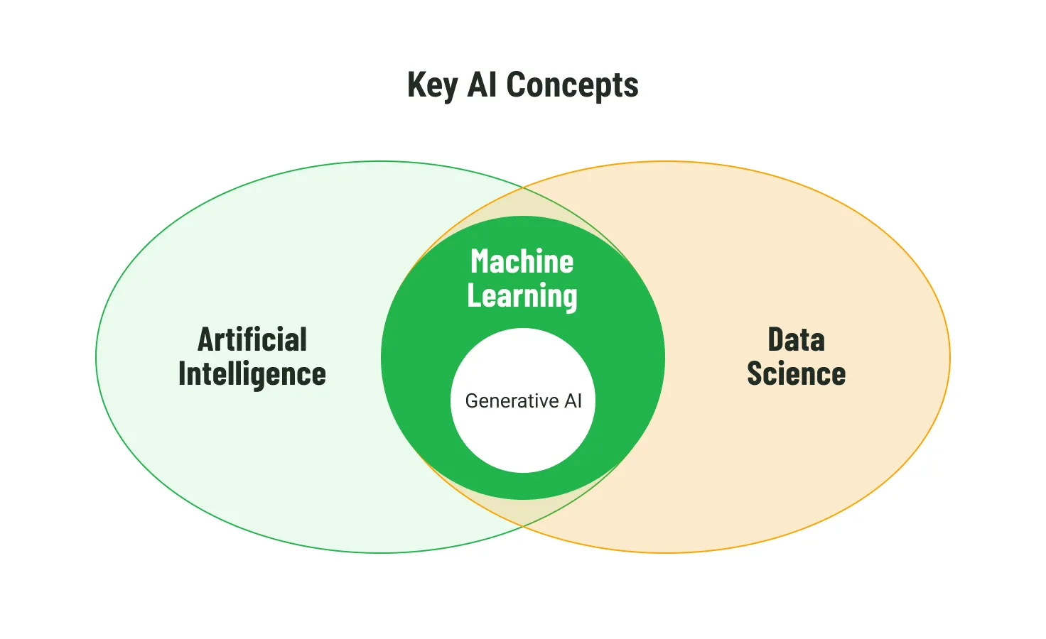 Ai 2024 ml basics