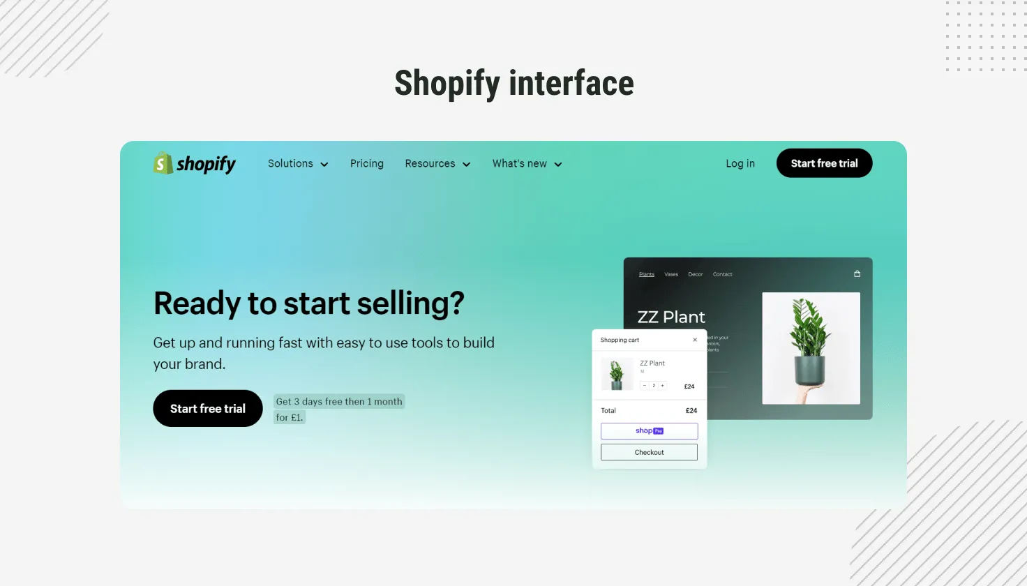 Shopify interface