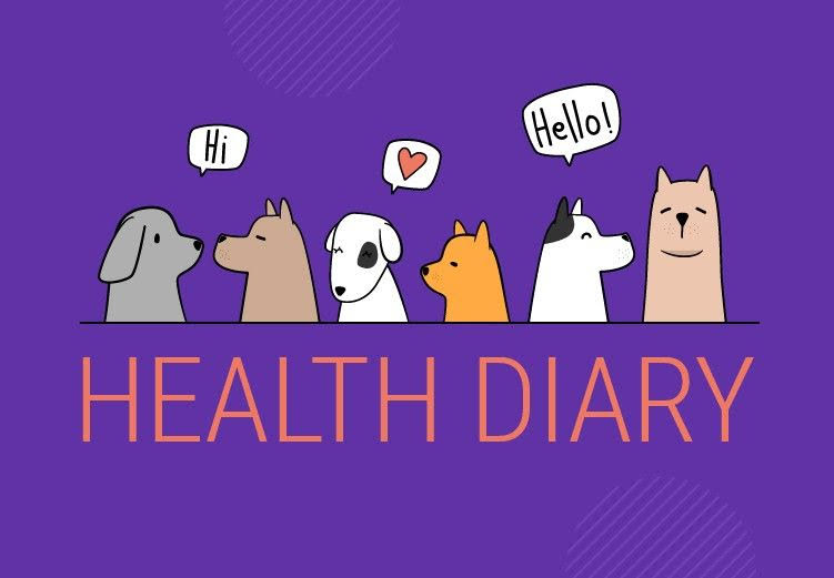Health Diary for Keeping Your Furry Friend Fit. GoDog Gets Major Update