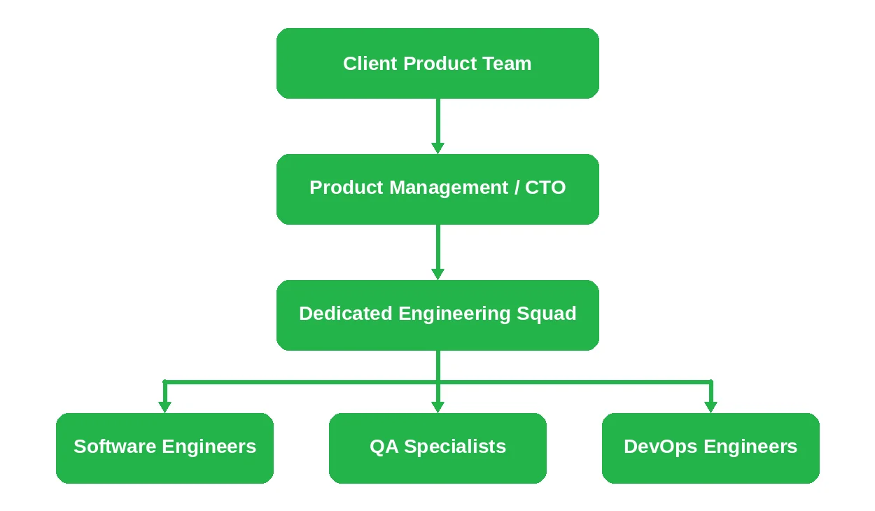 Dedicated Development Team Model Mechanism by Emerline