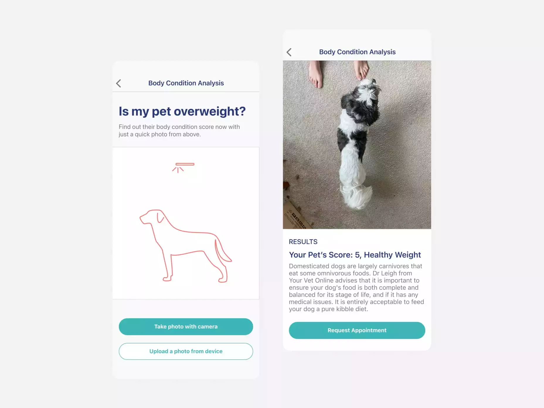 The unique user interface of the solution developed by Emerline
