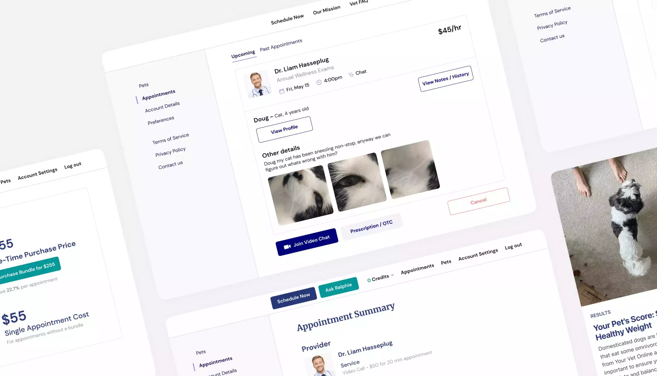 The unique user interface of the solution developed by Emerline