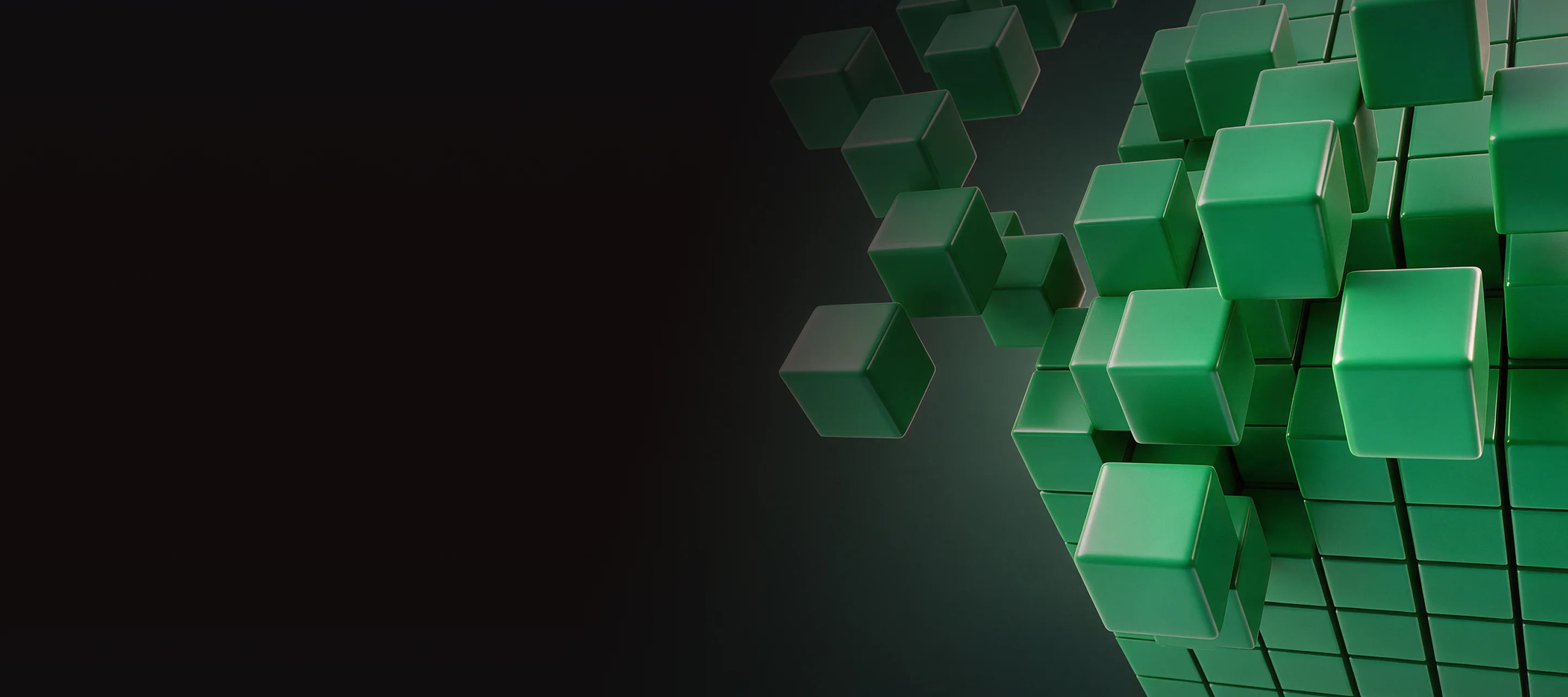 main banner